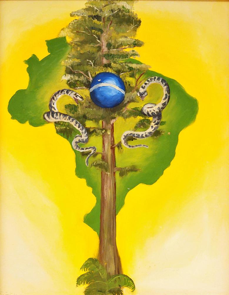 2005-Brazil.jpg